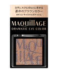 Maquillage Dramatic Eye Color (Powder Cream)
