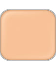 Excia Antellisance Lift Emulsion Foundation