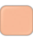 Excia Antellisance Lift Emulsion Foundation