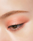 Paul & Joe Shimmering Eye Color