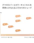 RMK Correcting Veil Concealer