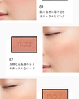 Shiseido Inoui Cheek