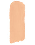 Shiseido Inoui Concealer Stick