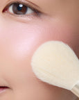 Snidel Beauty x Steiff Brush Kit ST Limited Edition