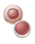 Decorte Eye Glow Gem Skin Shadow