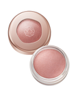 Decorte Eye Glow Gem Skin Shadow