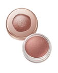 Decorte Eye Glow Gem Skin Shadow