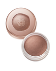 Decorte Eye Glow Gem Skin Shadow