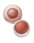 Decorte Eye Glow Gem Skin Shadow
