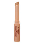 Canmake Color Stick Concealer - Ichiban Mart