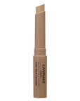 Canmake Color Stick Concealer - Ichiban Mart