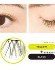 D-UP Color Lash - Ichiban Mart