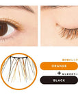 D-UP Color Lash - Ichiban Mart