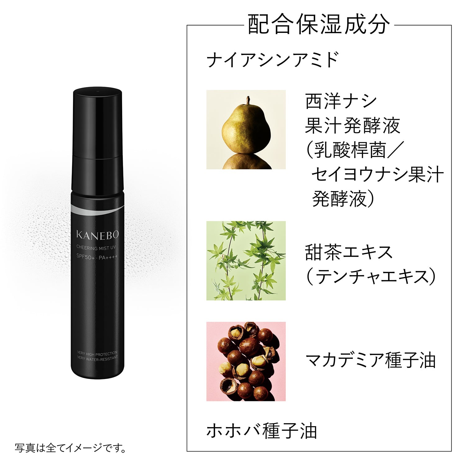 Kanebo Lively Skin Wear – Ichiban Mart