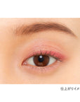 Kanebo Eye Color Duo - Ichiban Mart