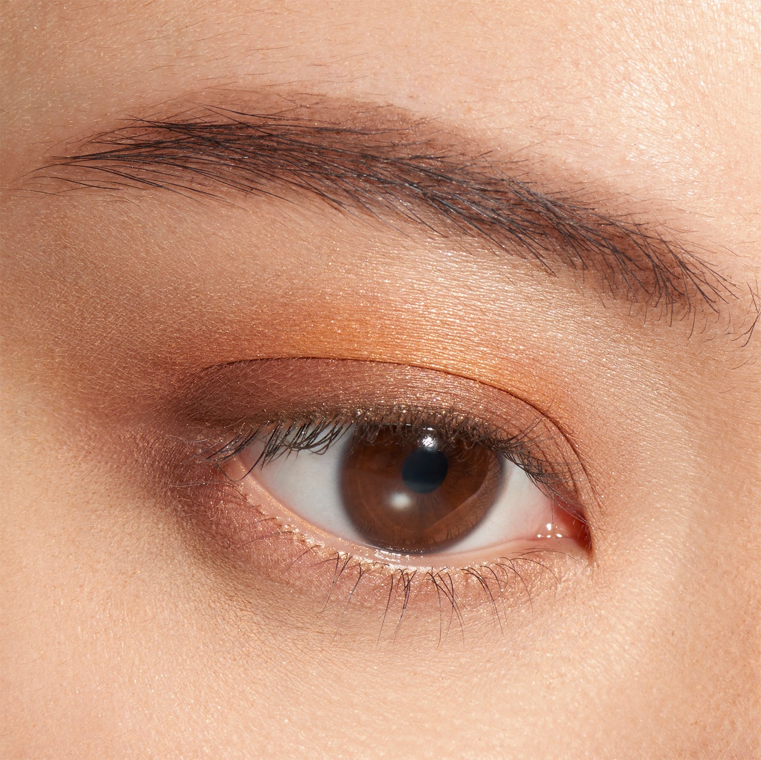 Lunasol Eye Coloration - Ichiban Mart