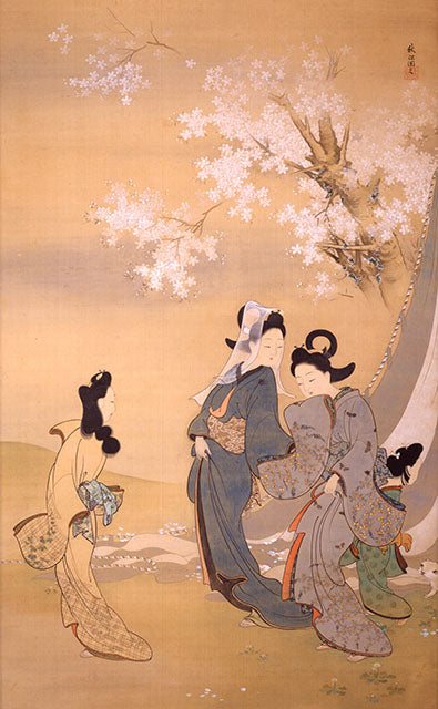 Collection Image