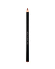 Addiction The Lip Pencil