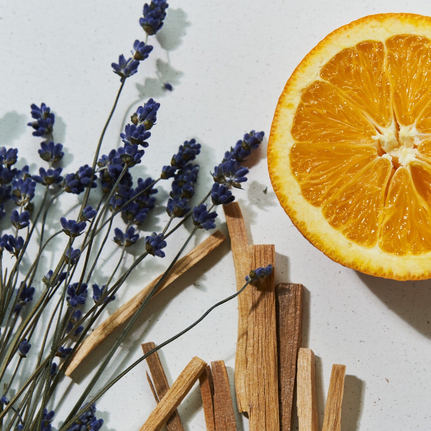 Athletis Phyto Sleeping Cream