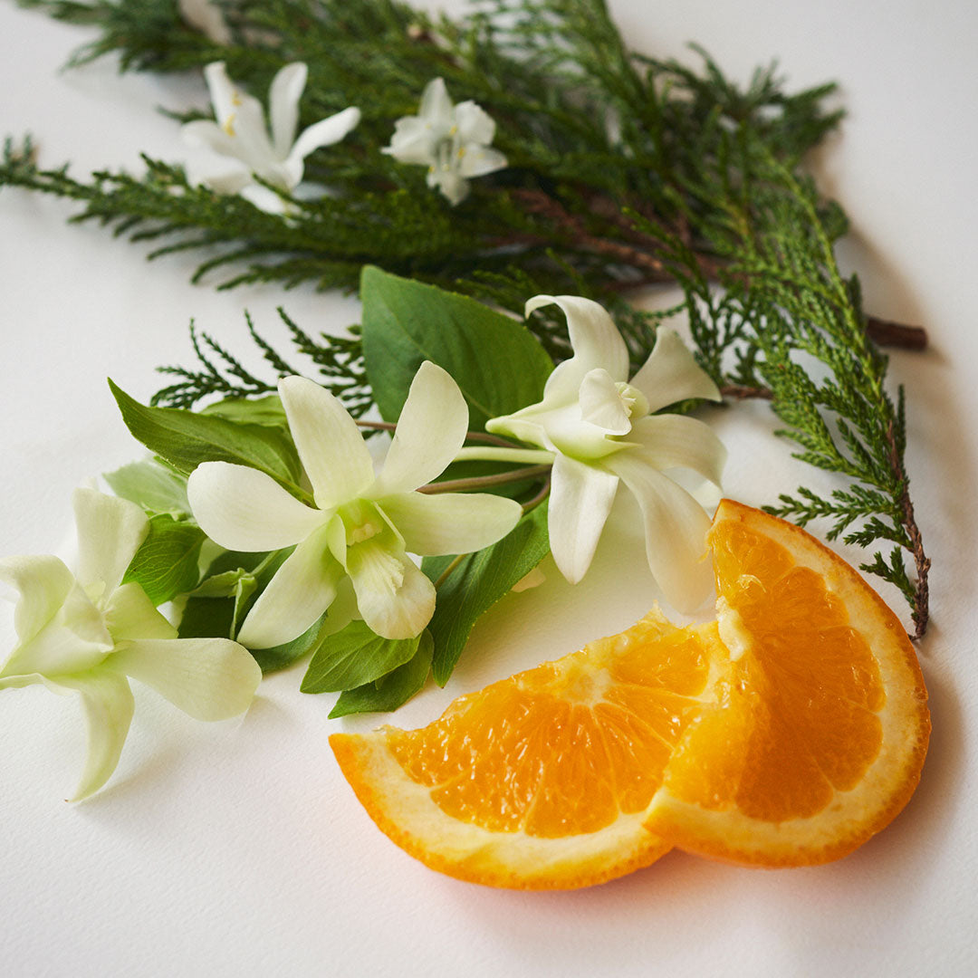 Athletis Smooth Body Milk N