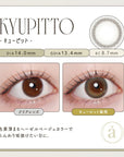 Azatome One Day Contact Lenses