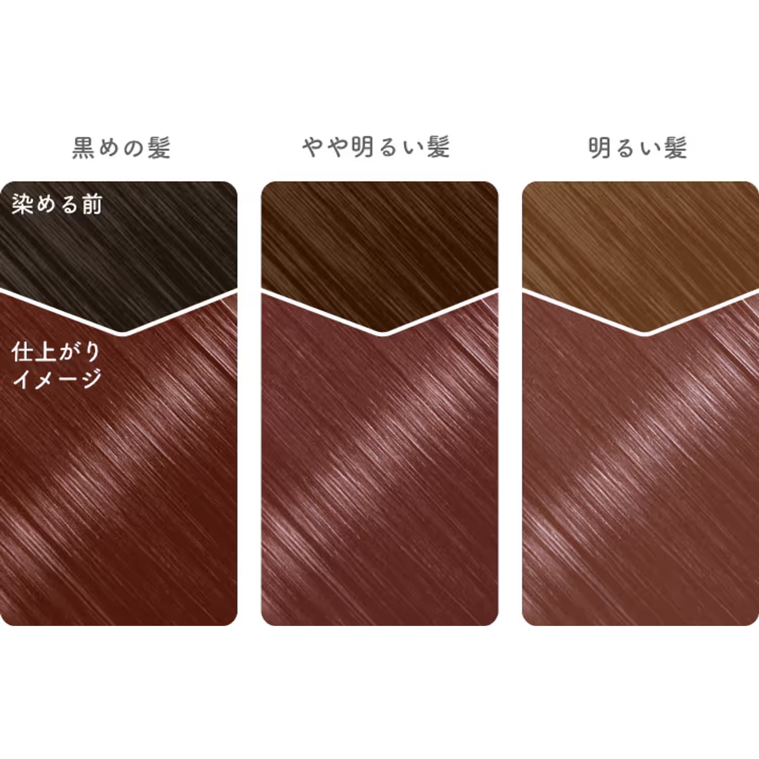 Beauty Labo Whip Hair Color