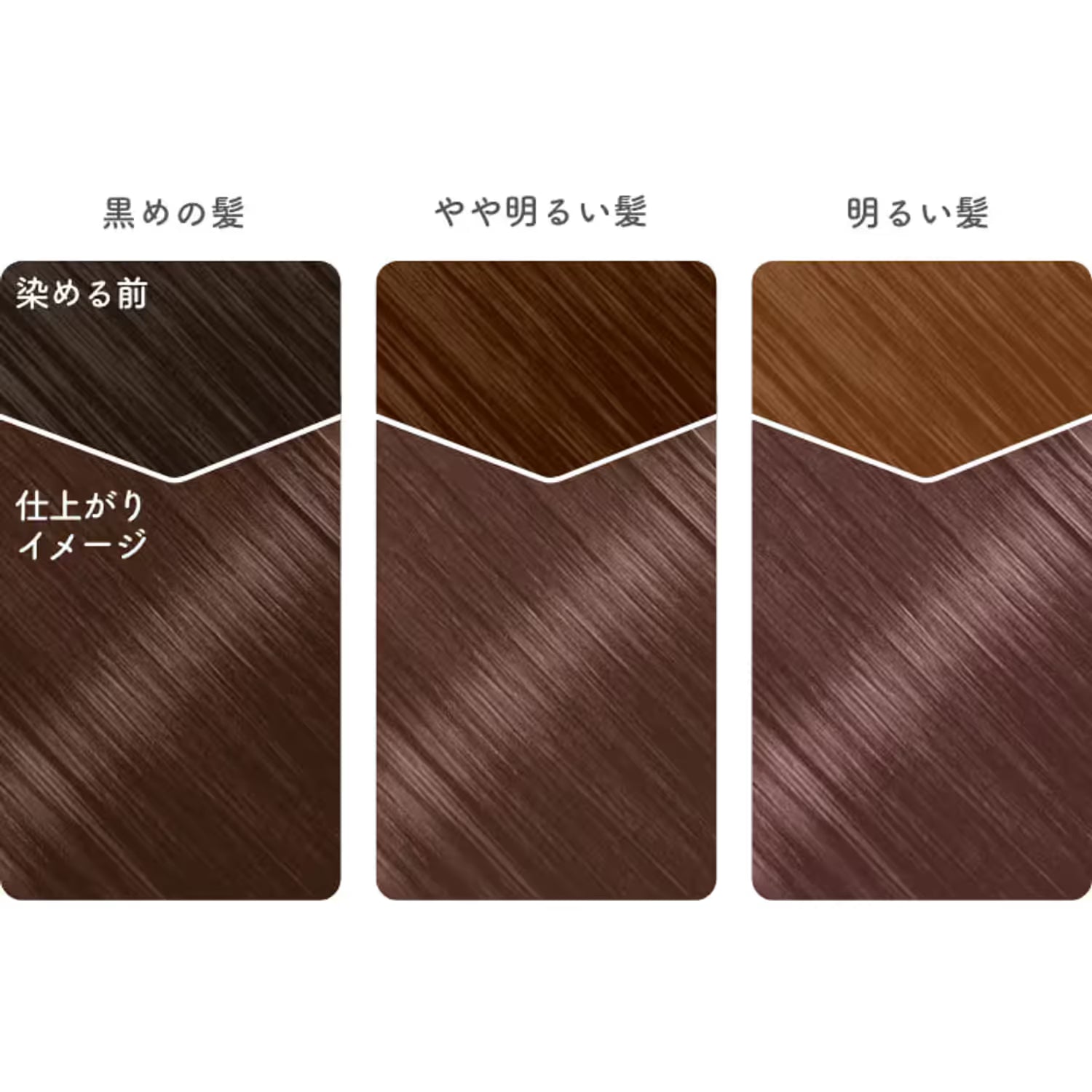 Beauty Labo Whip Hair Color