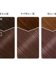 Beauty Labo Whip Hair Color