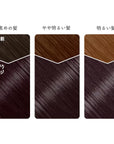 Beauty Labo Whip Hair Color