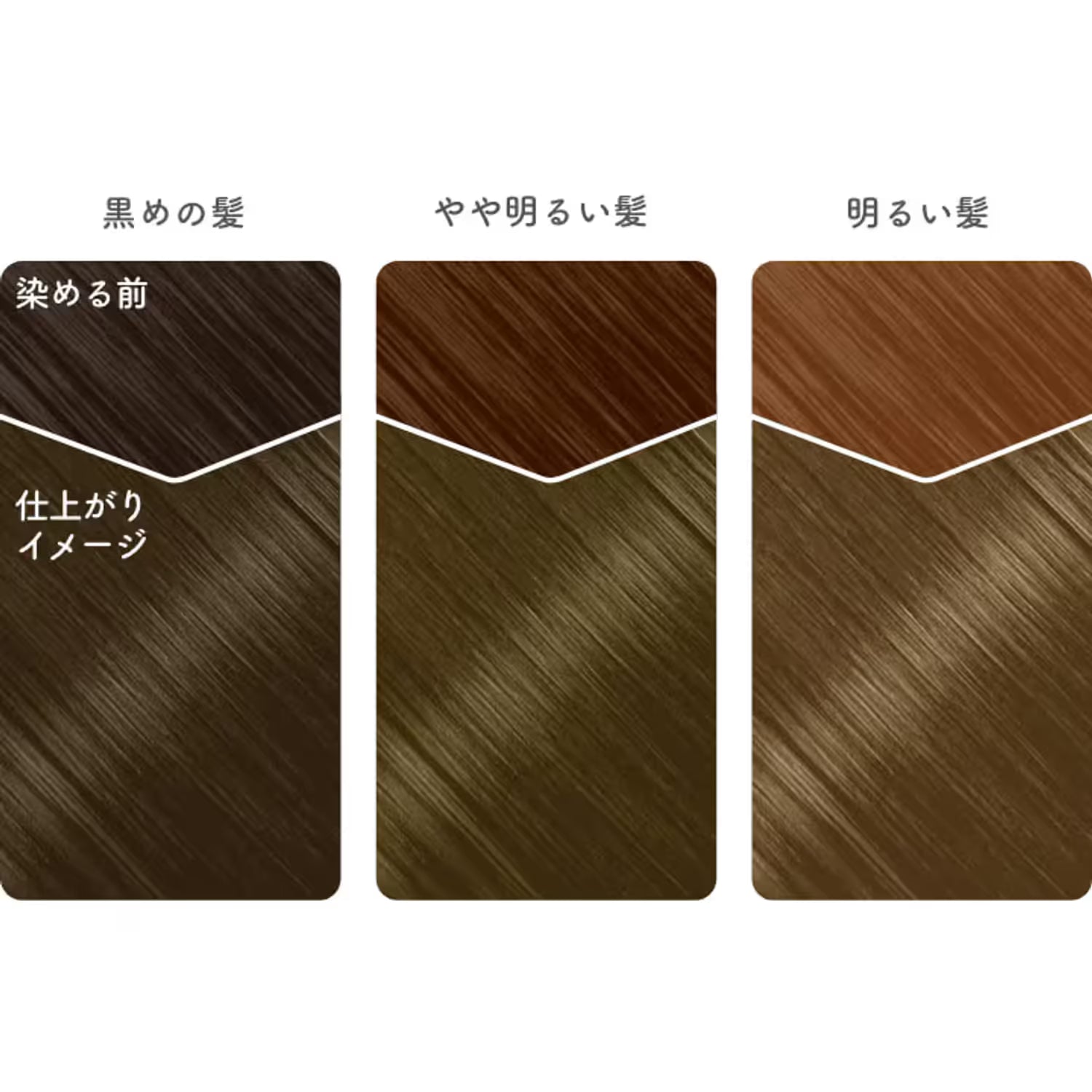 Beauty Labo Whip Hair Color