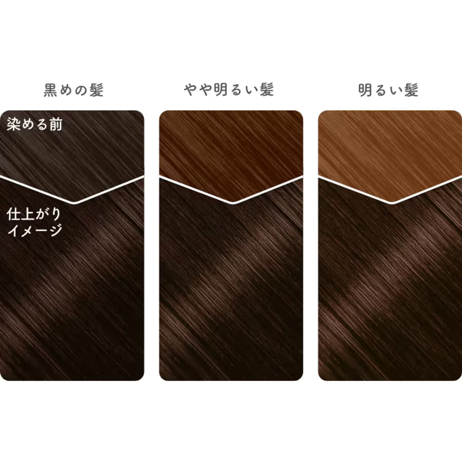 Beauty Labo Whip Hair Color