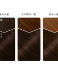 Beauty Labo Whip Hair Color