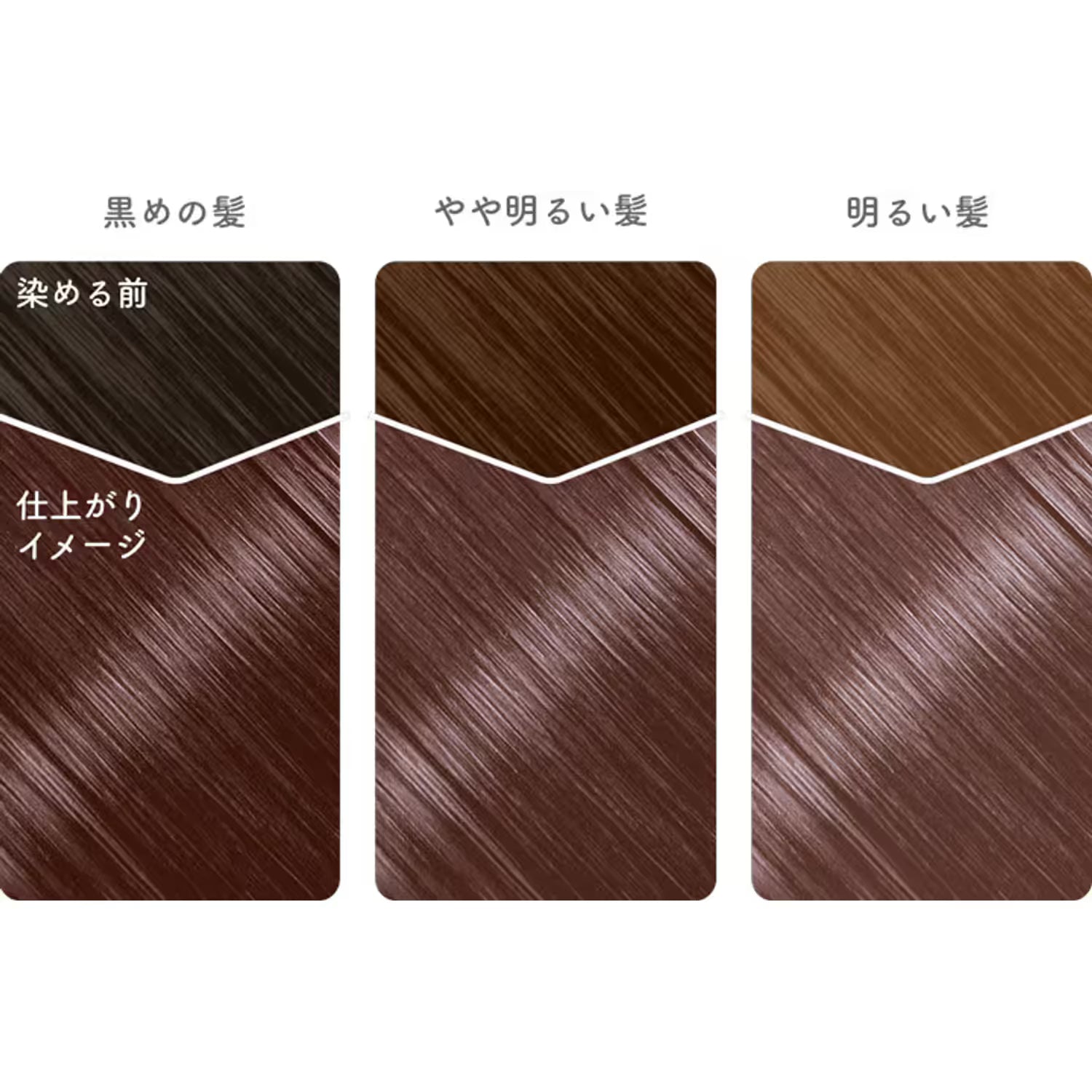 Beauty Labo Whip Hair Color