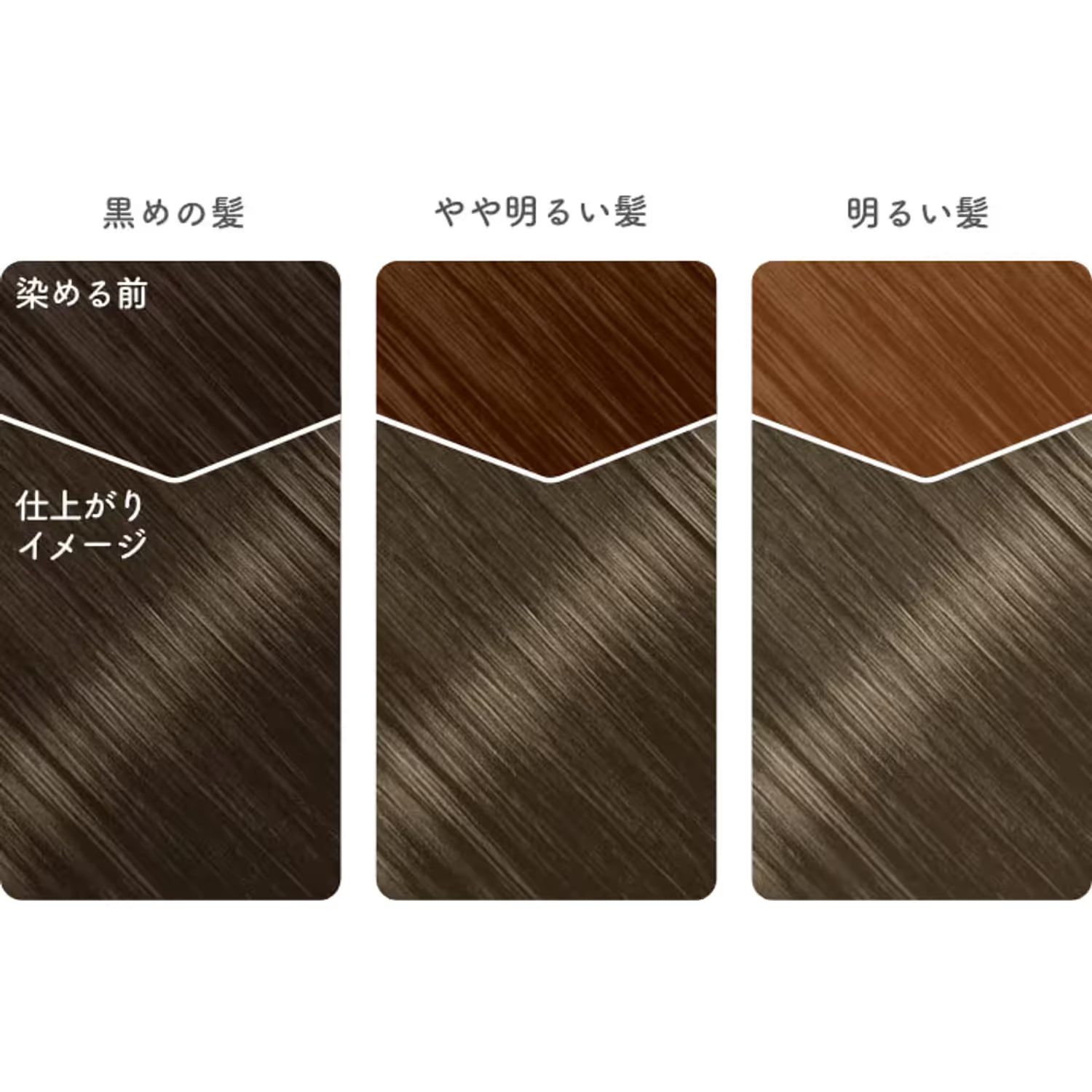 Beauty Labo Whip Hair Color