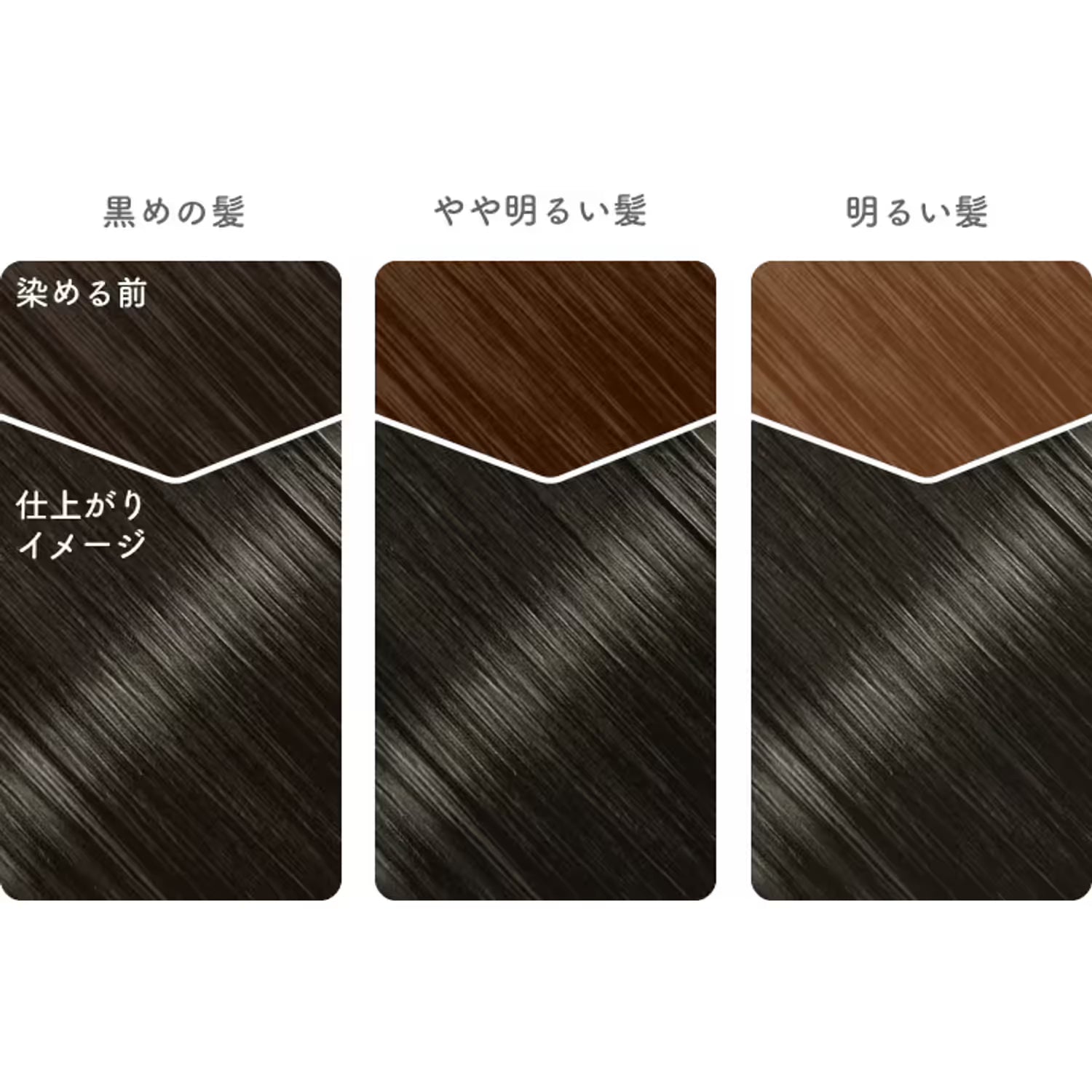 Beauty Labo Whip Hair Color