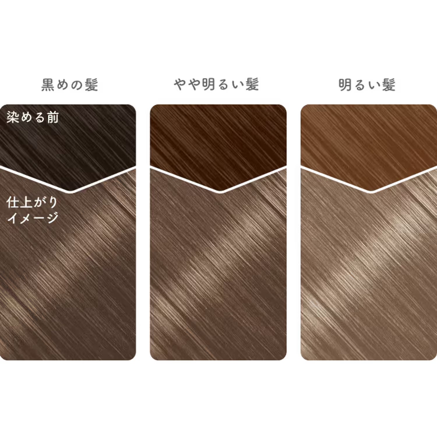 Beauty Labo Whip Hair Color