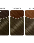 Beauty Labo Whip Hair Color