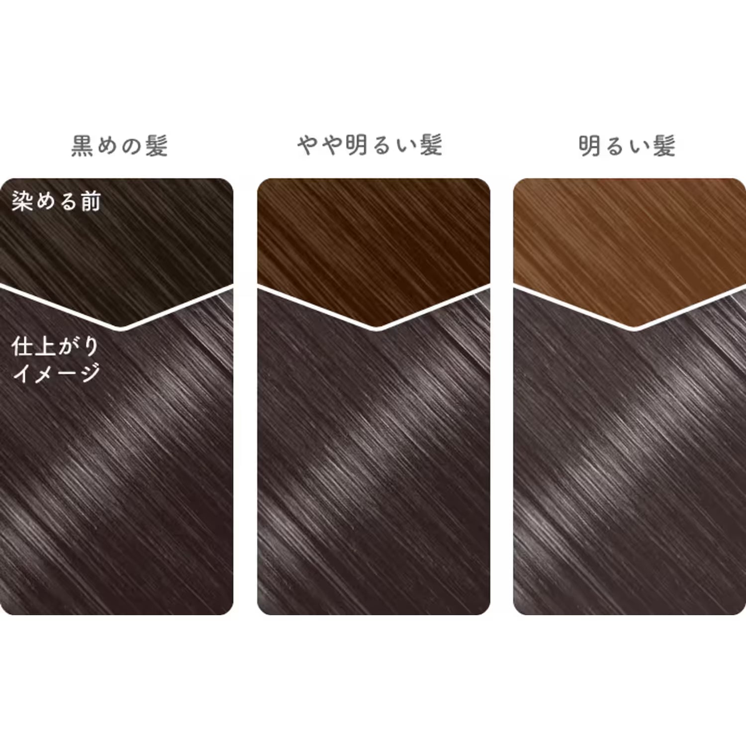 Beauty Labo Whip Hair Color