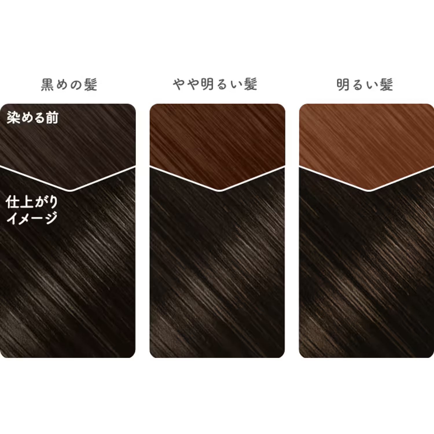 Beauty Labo Whip Hair Color