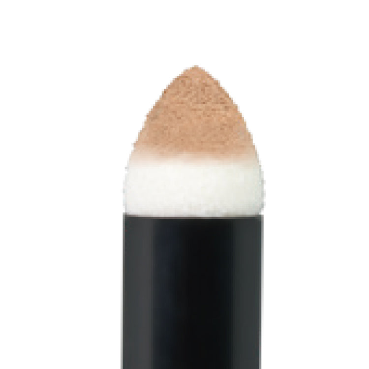 Canmake 3 in 1 Eyebrow