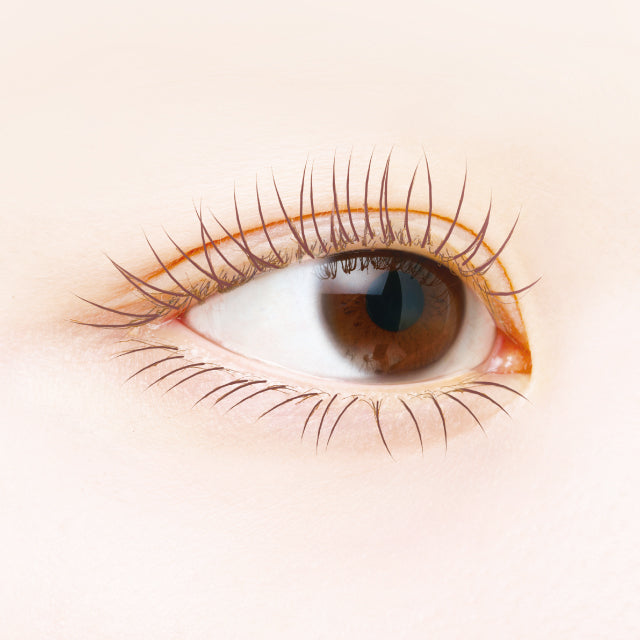 Canmake Curl Sniper Mascara