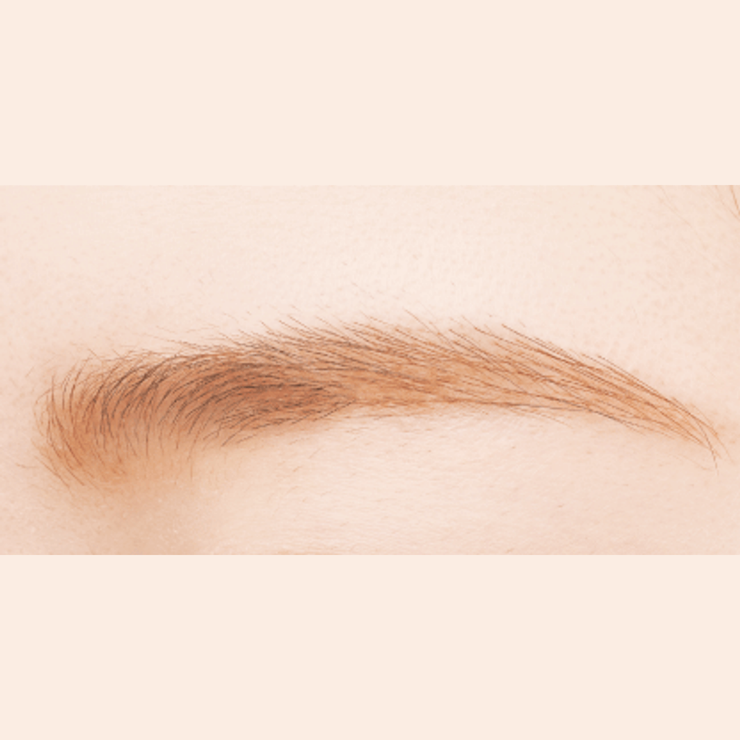 Canmake Fit Styler Eyebrow