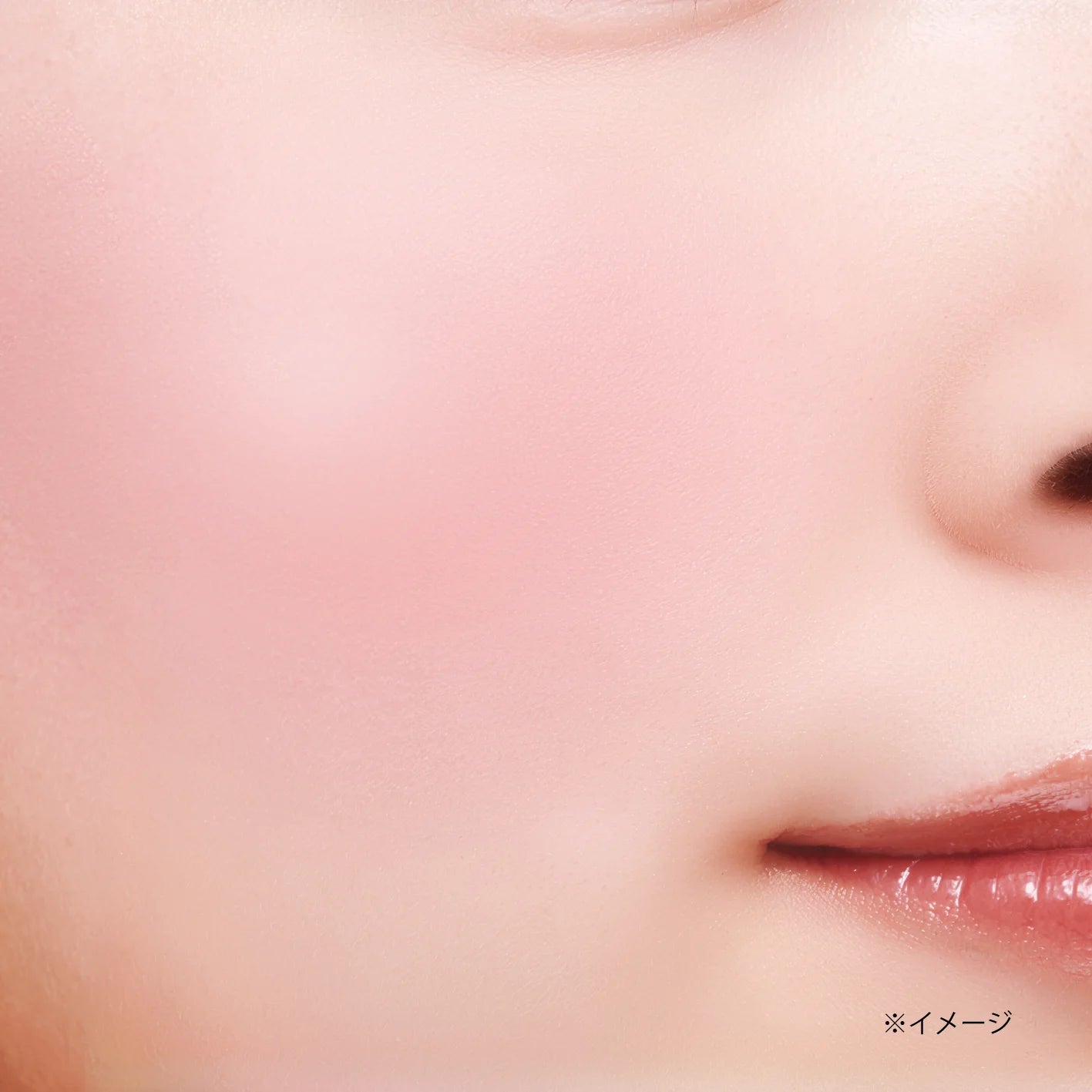 Canmake Gradation Cheeks
