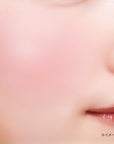 Canmake Gradation Cheeks