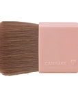 Canmake Gradation Cheeks