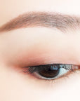 Canmake Perfect Multi Eyes