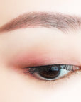 Canmake Perfect Multi Eyes