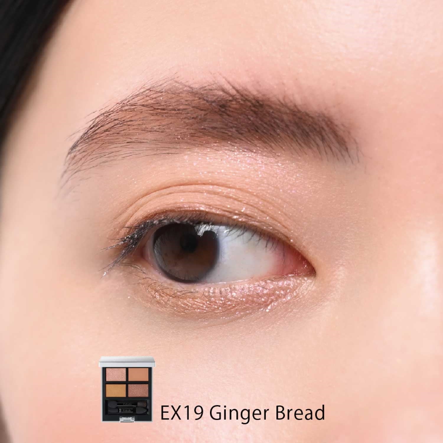 Celvoke Vatic Eye Palette 2025 Holiday