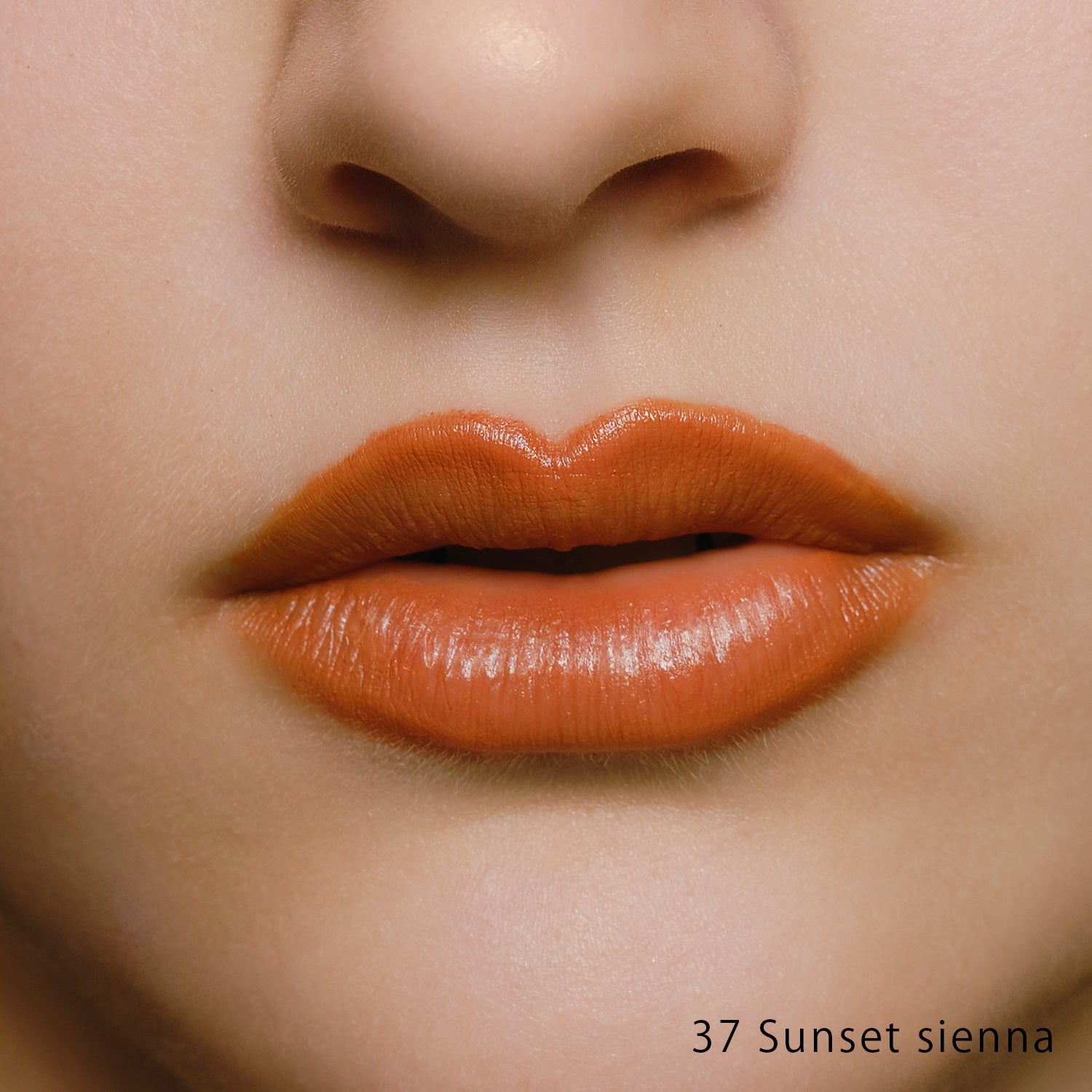 Celvoke  Dignified Lips