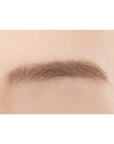 Cezanne Eyebrow & Shade Powder